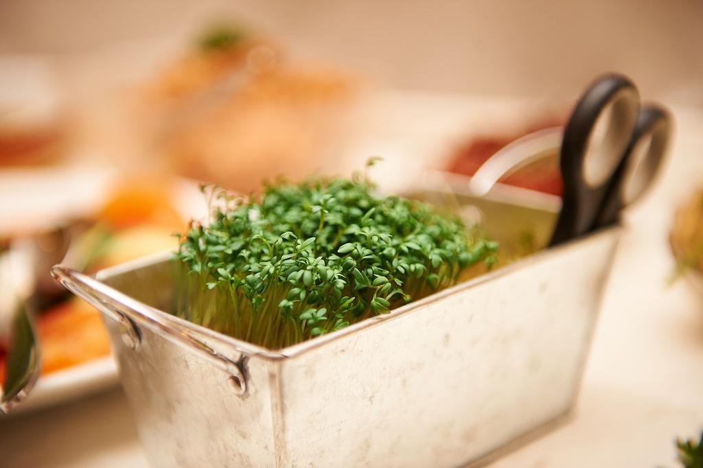Vegan Hotel Und Restaurants Nicolay 1881 Цельтинген-Рахтиг Экстерьер фото